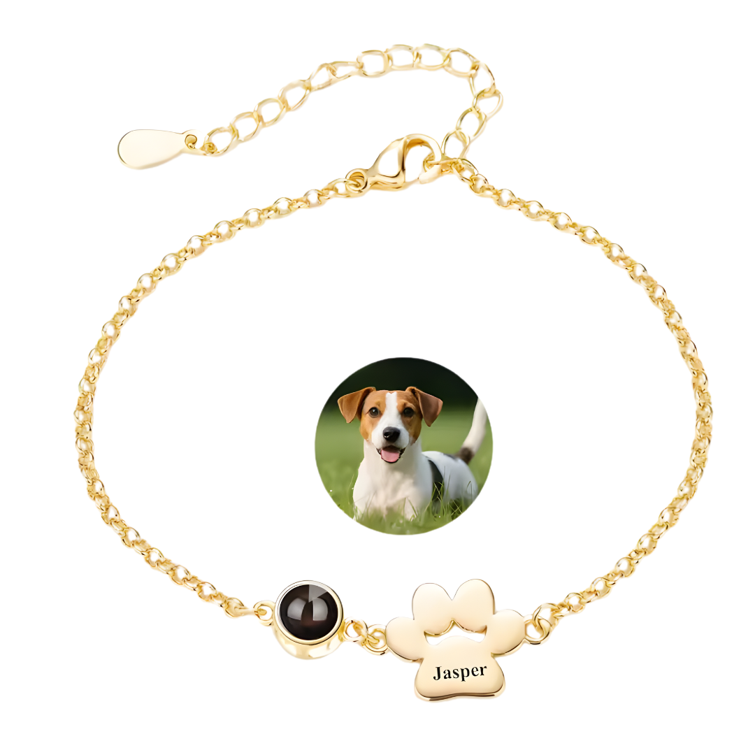 Pulsera PawMemory personalizada