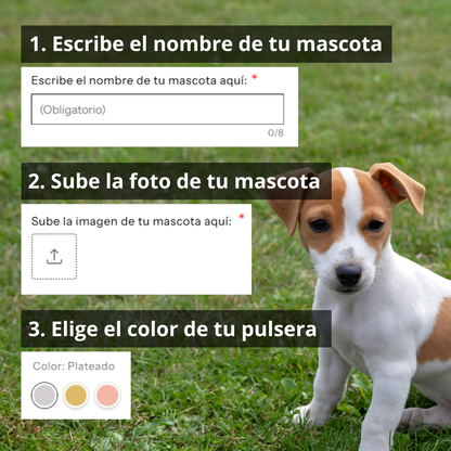 Pulsera PawMemory personalizada